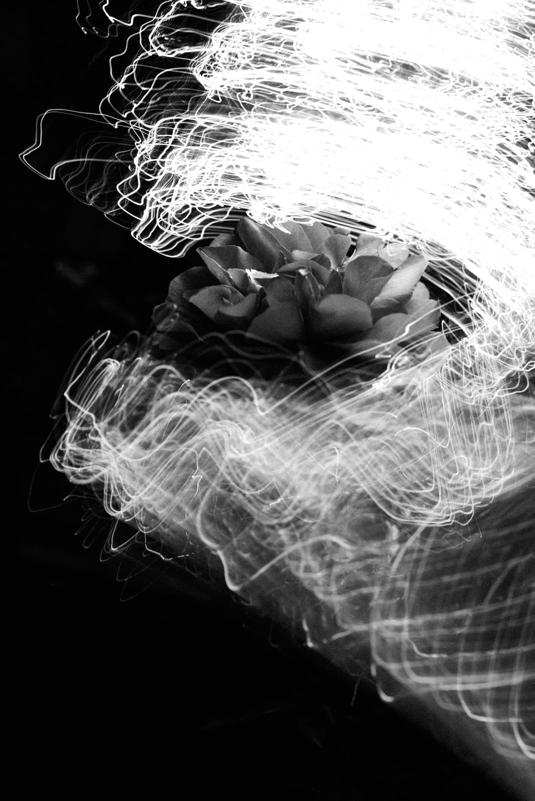 PROTON DANCE - black and white, color, fotografie - photograph 3 of 7 by Marco Meyer, 2021