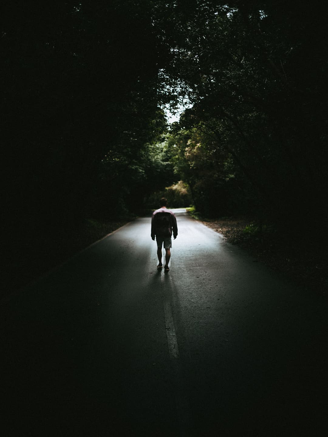 WALK THROUGH THE WOODS - adventure, forest, fujifilm - photograph 1 of 9 by Marco Meyer, 2022